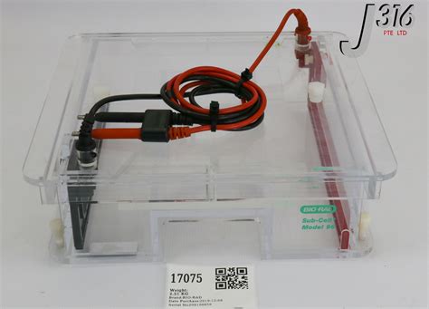 biorad electro transfer box|bio rad gel electrophoresis.